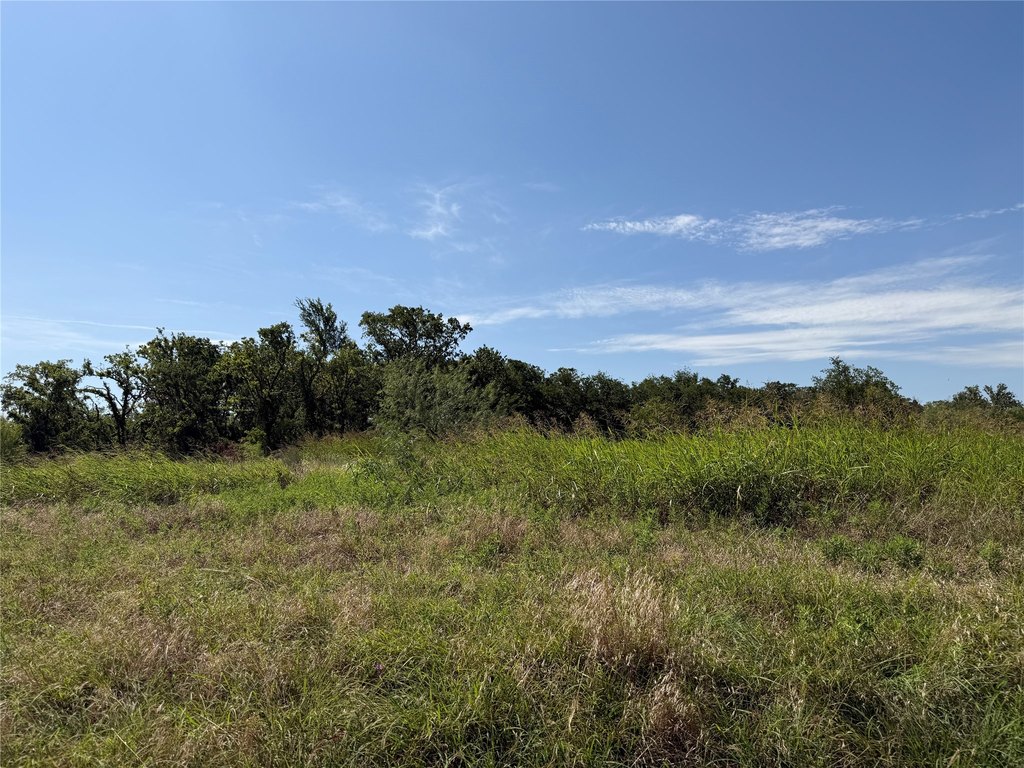 Picture 3