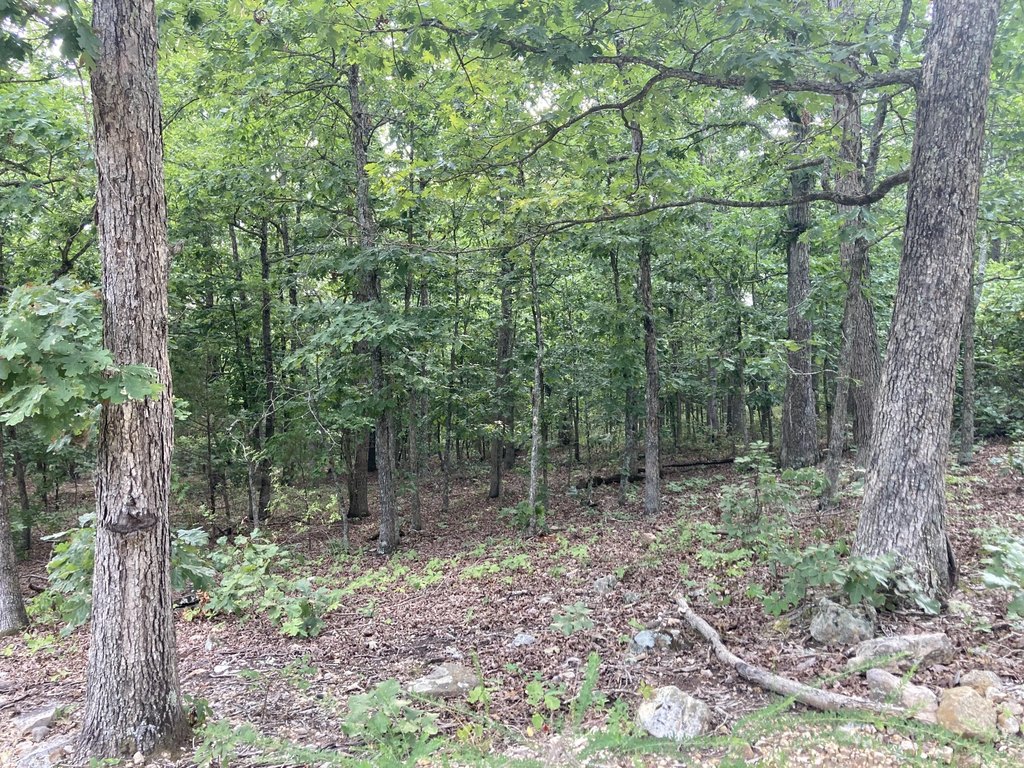 Picture 4
