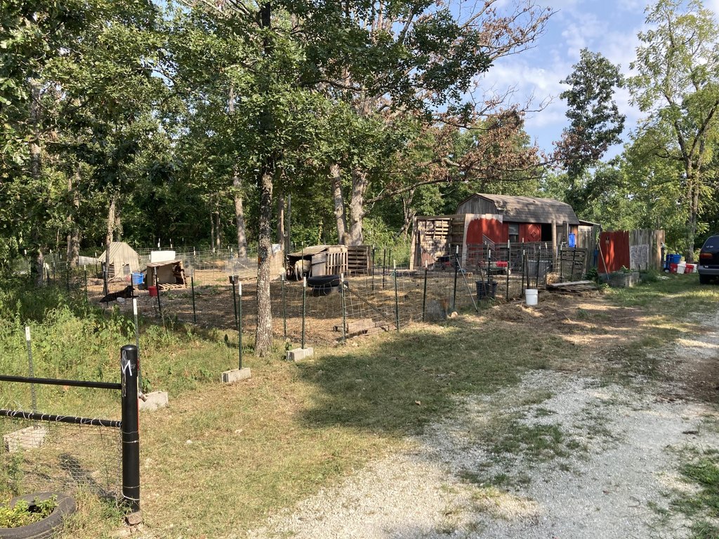 Picture 28