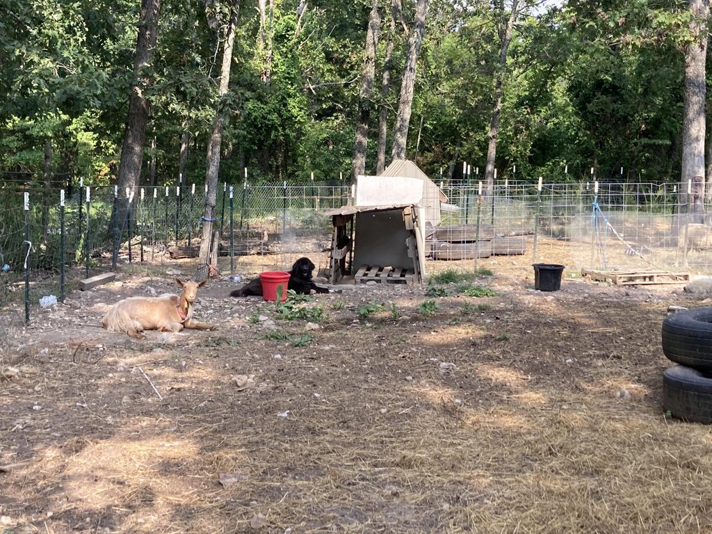 Picture 25