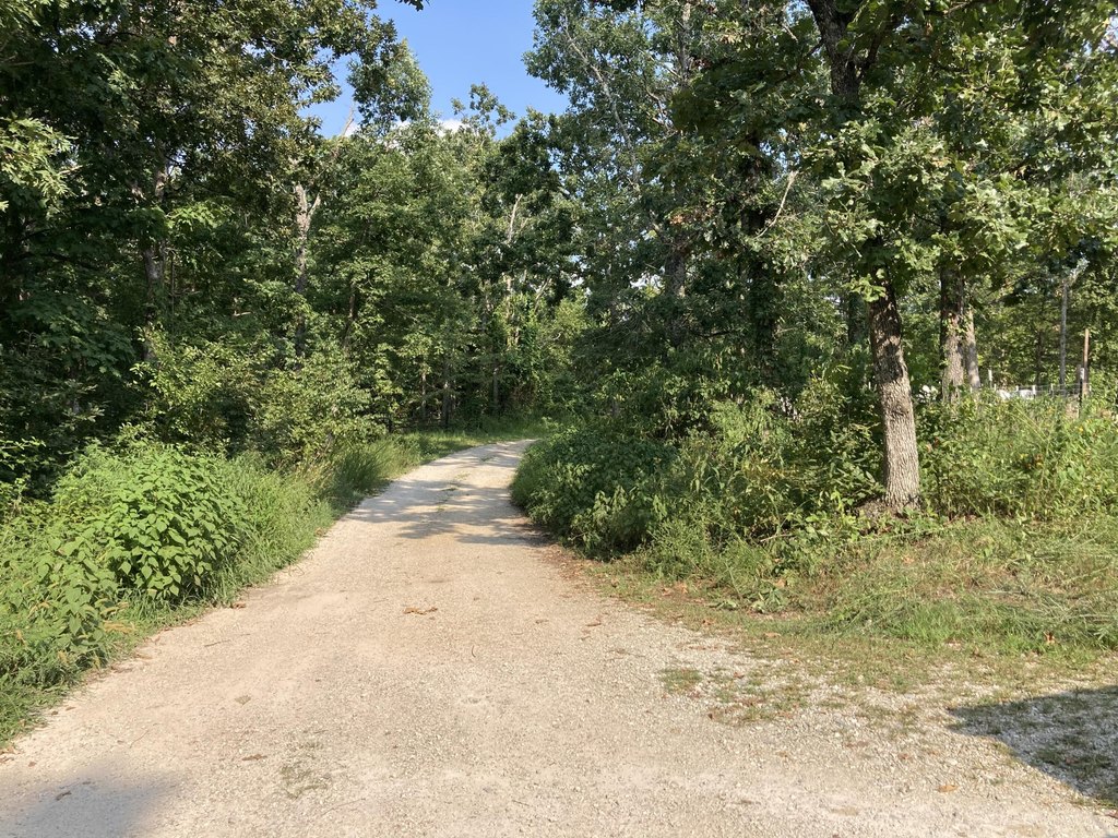 Picture 33