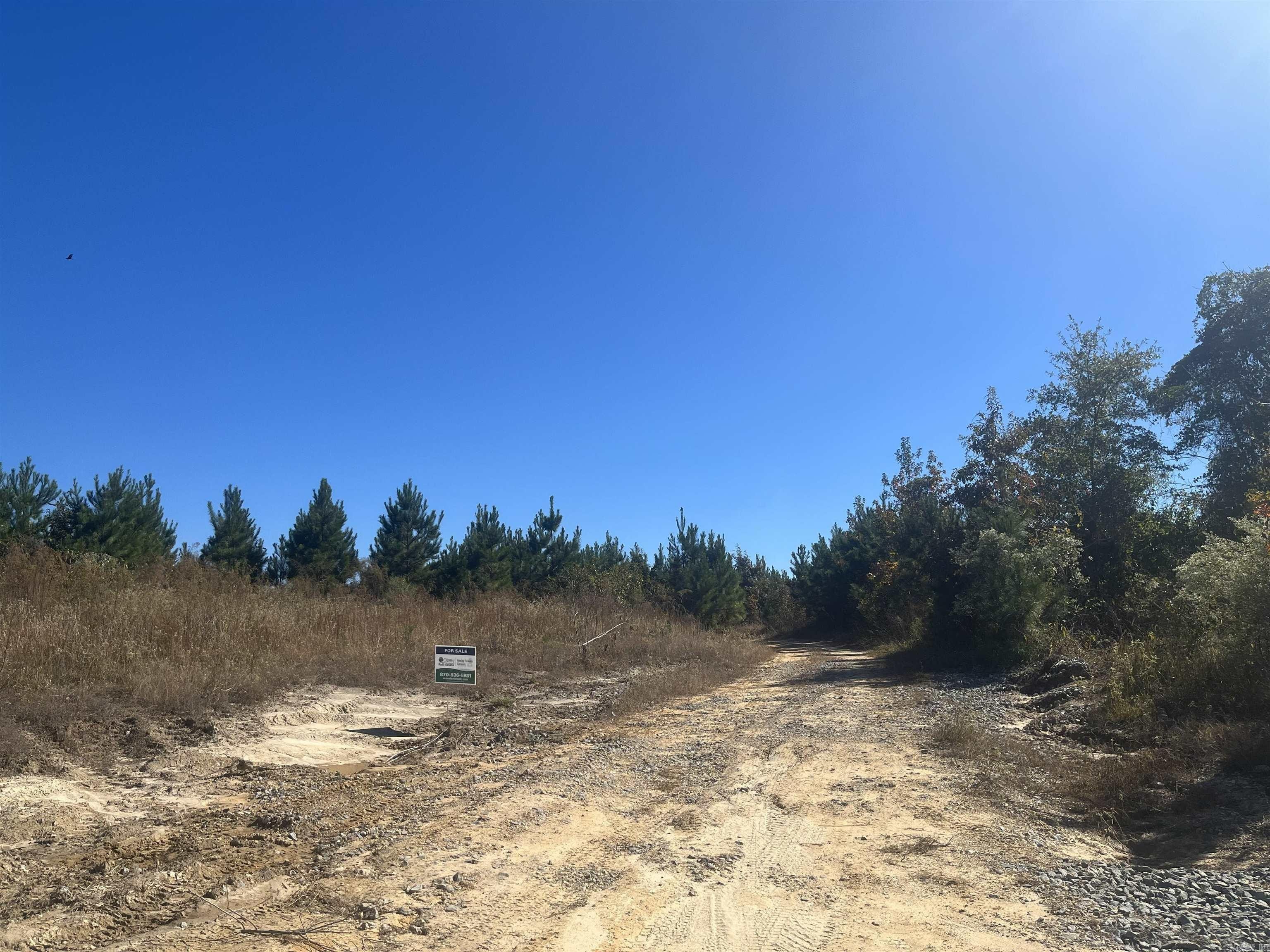 60 Acres of Timberland
