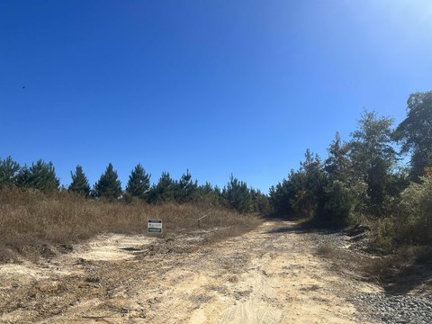60 Acres of Timberland