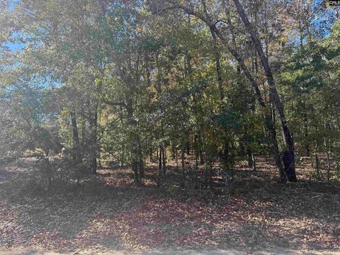 Two Wooded Lots in Bamberg