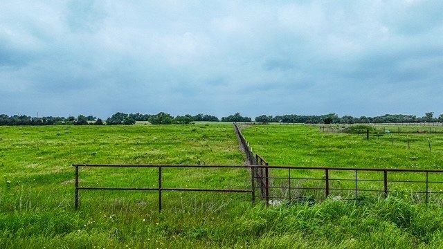 Picture 8