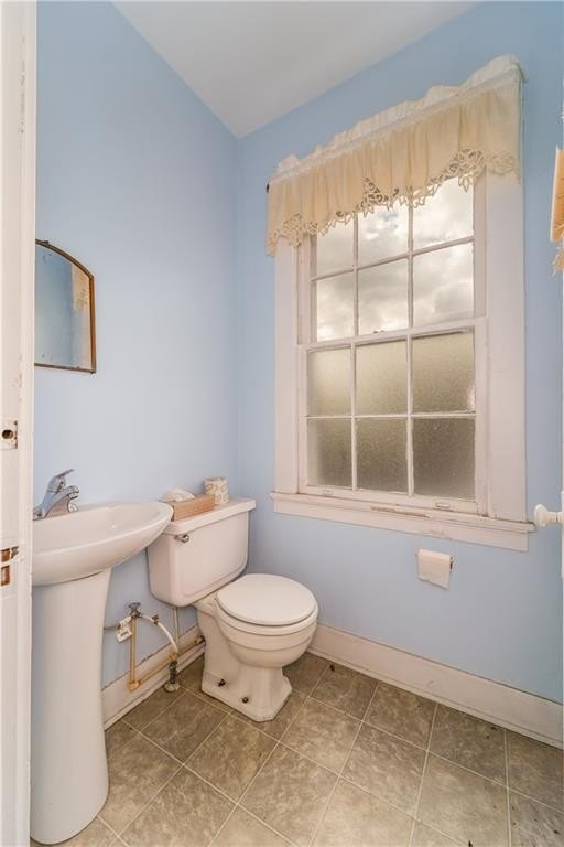 Picture 23