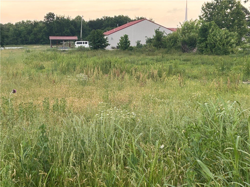 Picture 9