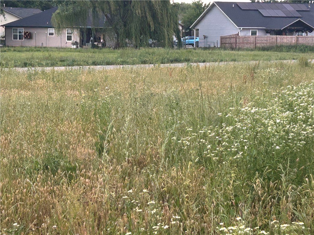 Picture 14