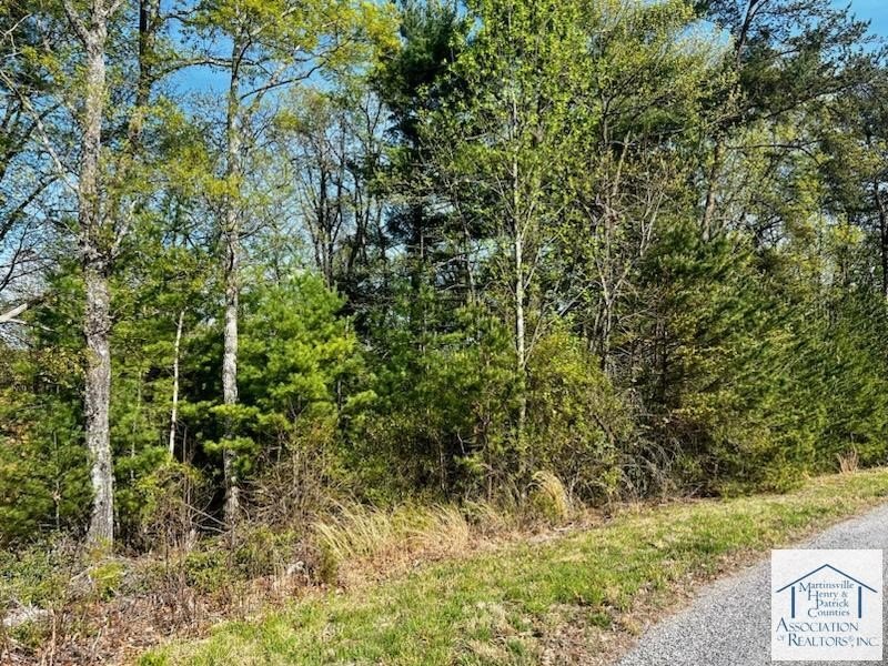 Residential Land in Patrick Springs