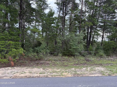 LAND - Chipley, FL