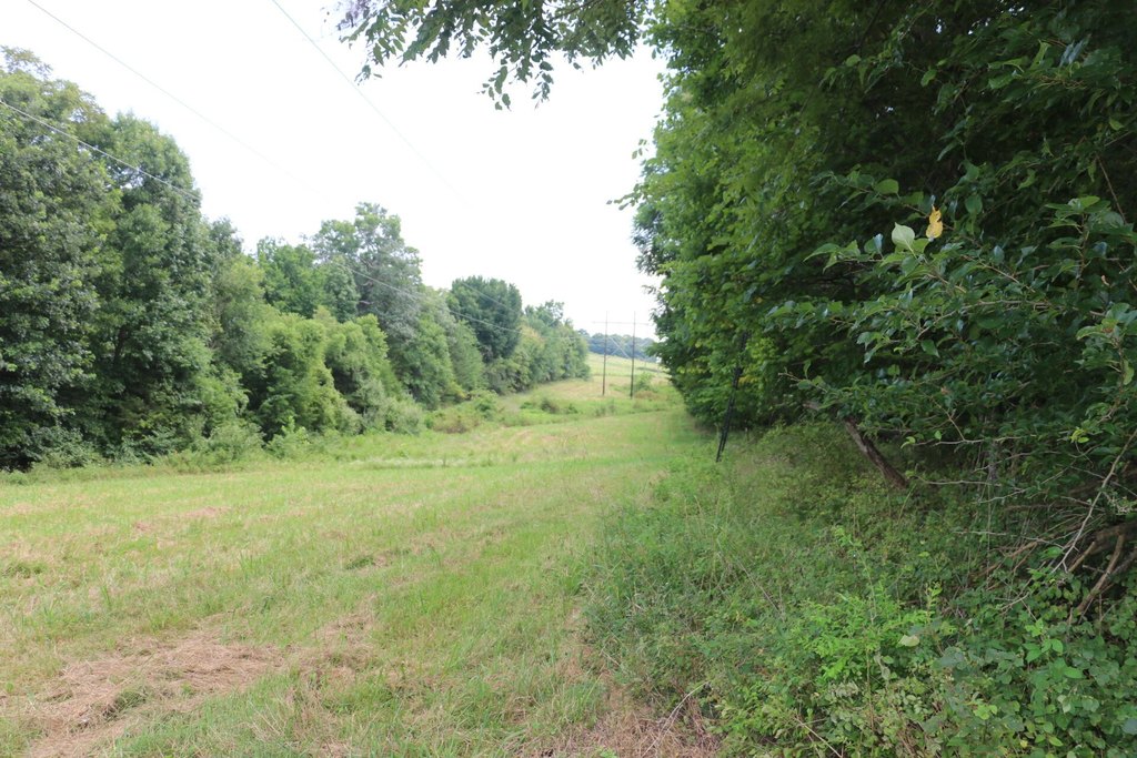 Picture 25