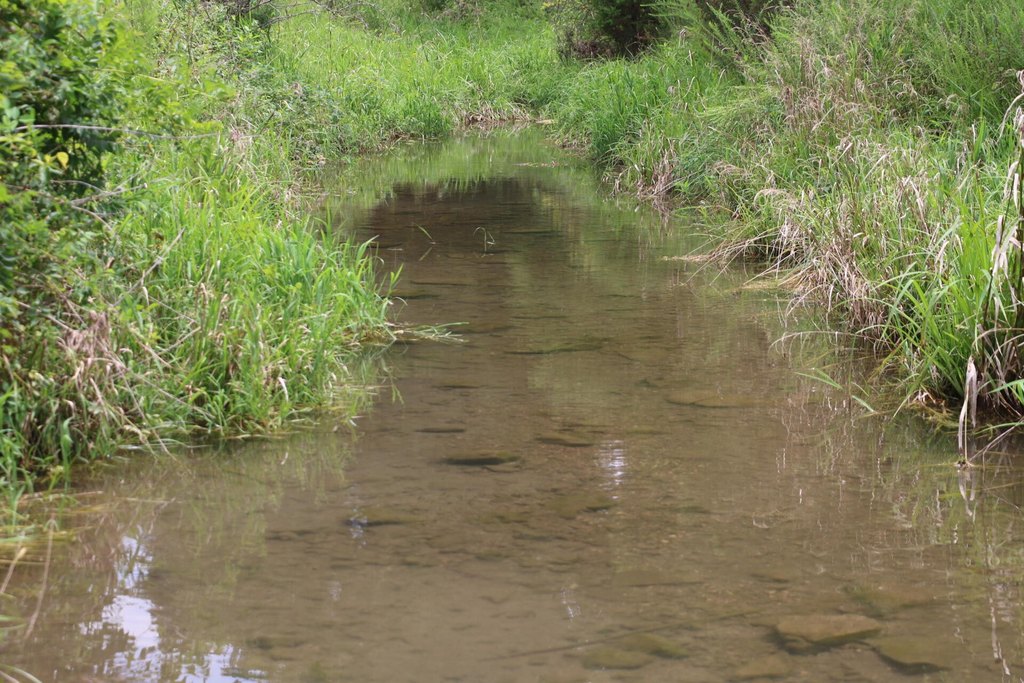 Picture 33