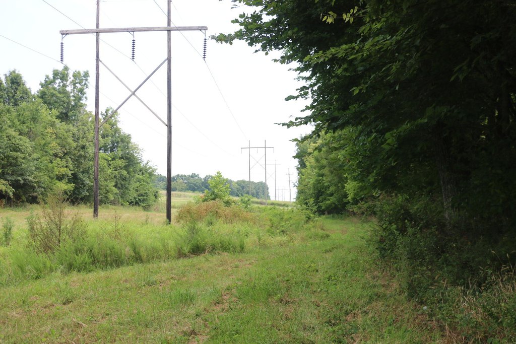 Picture 30