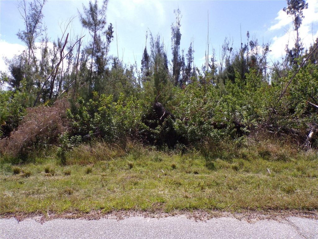 Picture 9