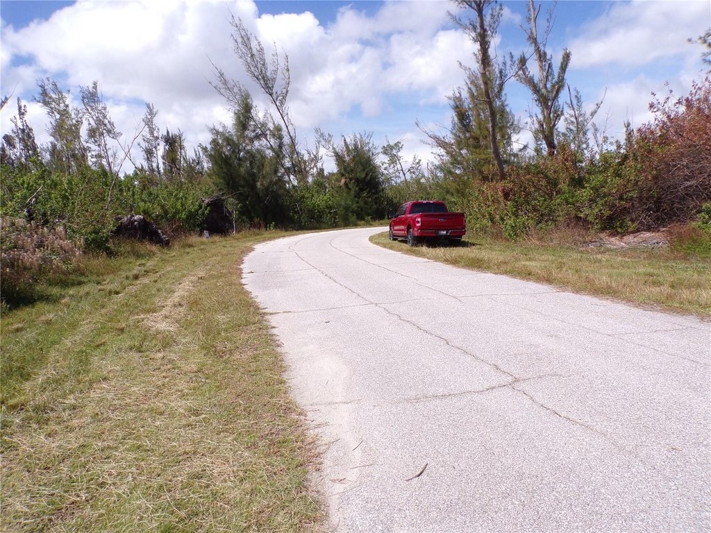 Picture 4
