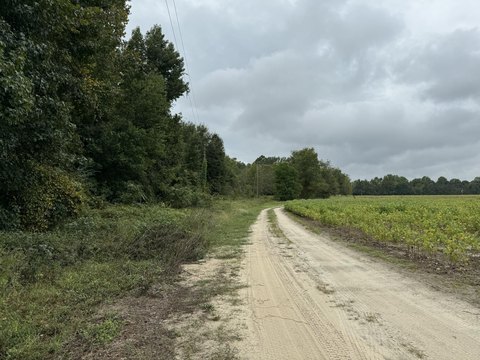 Land, Manning, SC