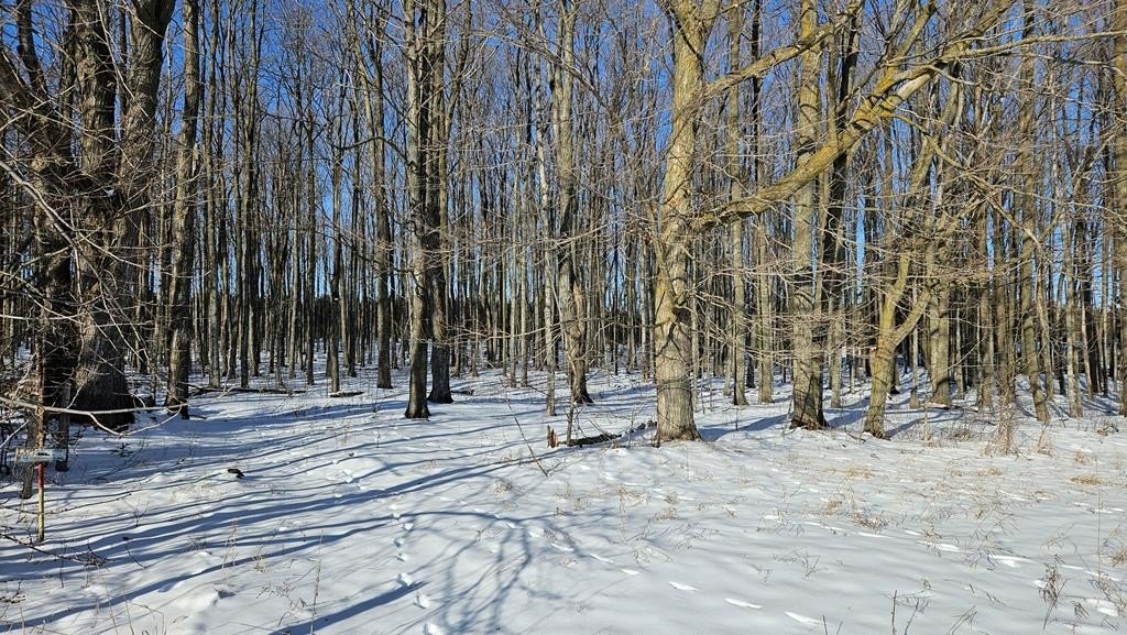 Picture 4