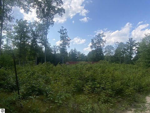 BALDWIN, MI