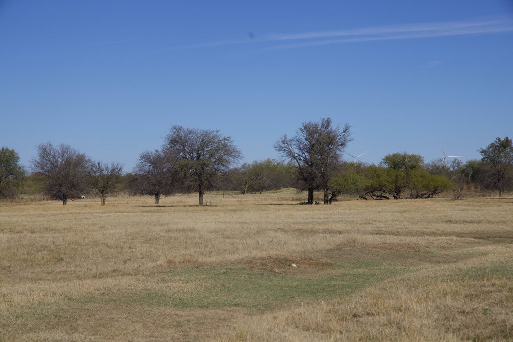 Picture 28