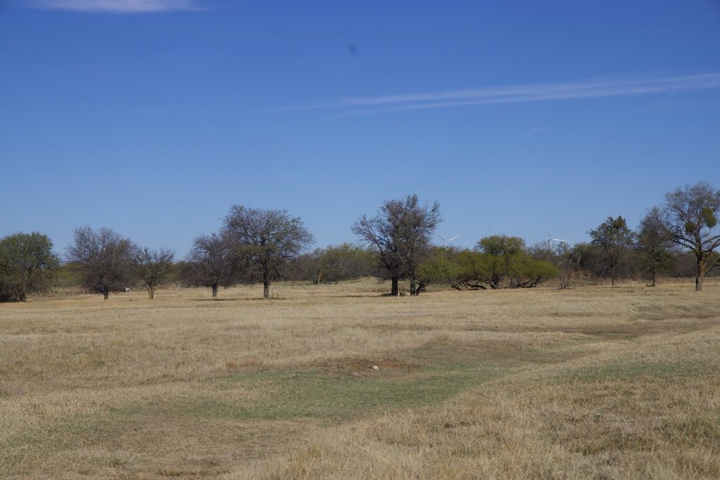 Picture 29