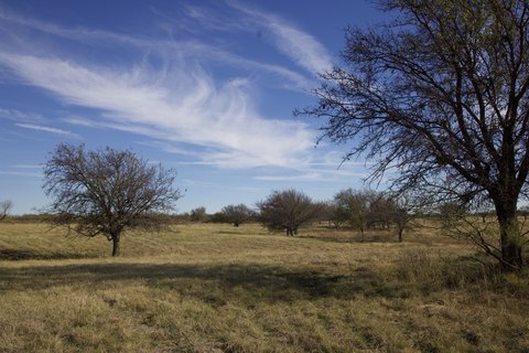 Multi-Use Ranch with Arena