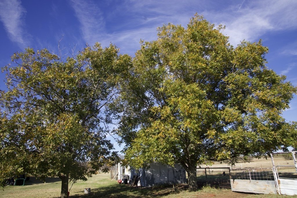 Picture 31