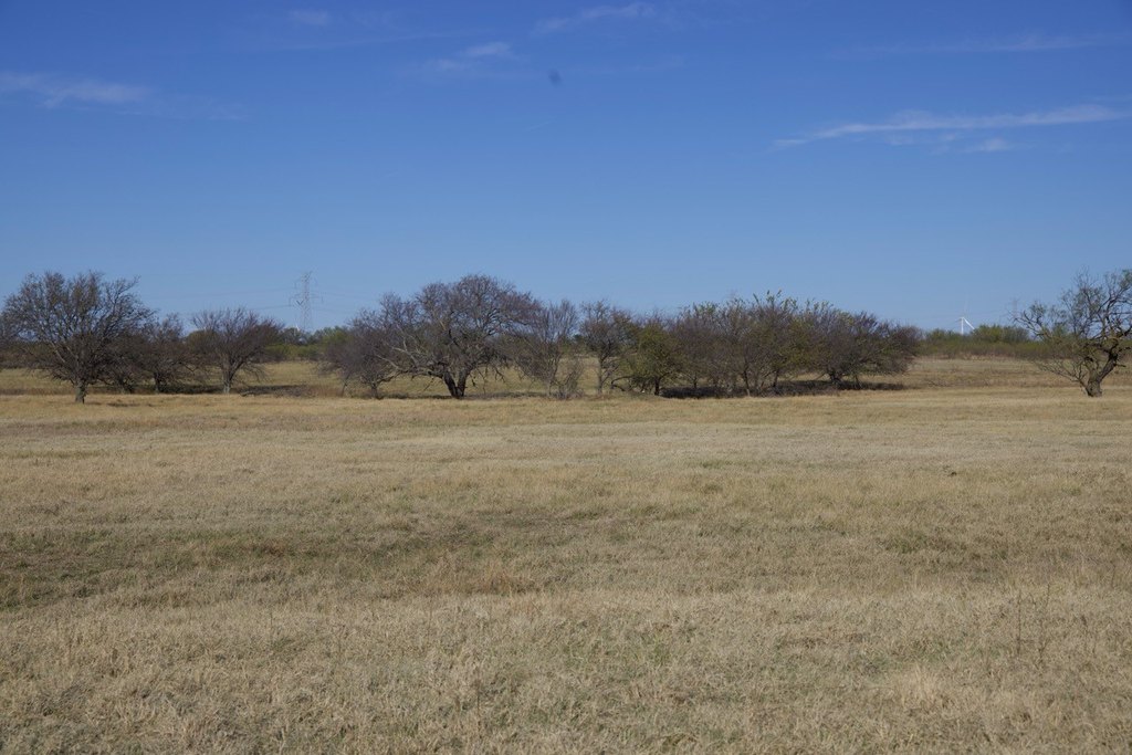 Picture 25