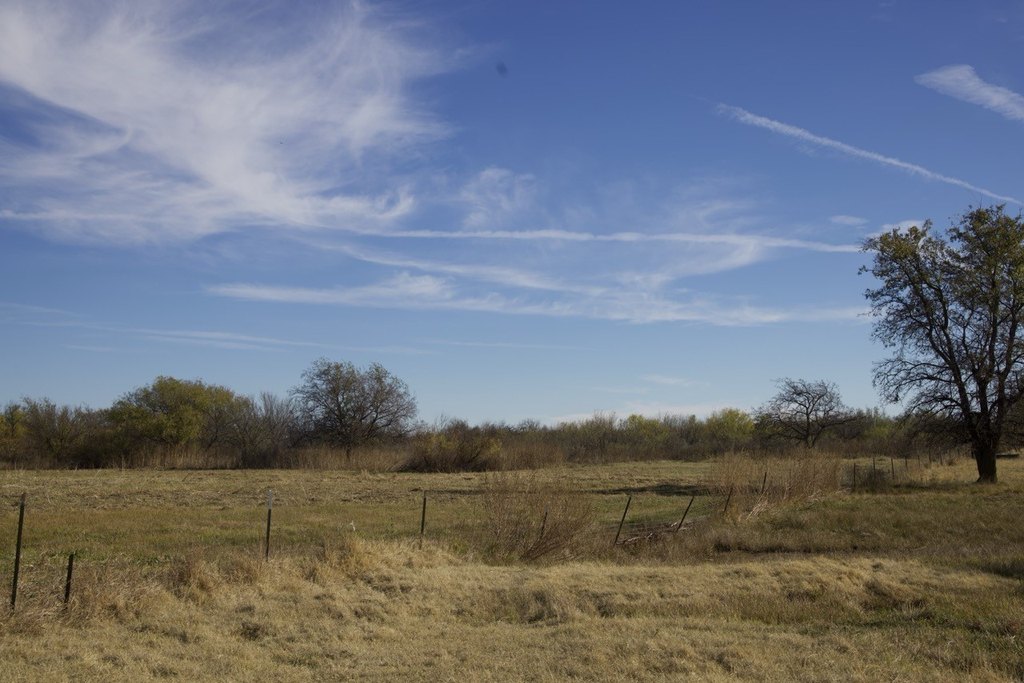 Picture 23