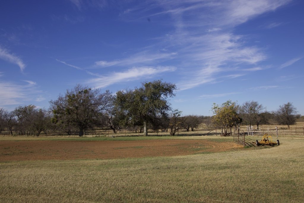 Picture 32