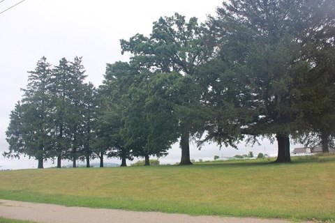 Corner-Ready Commercial Land
