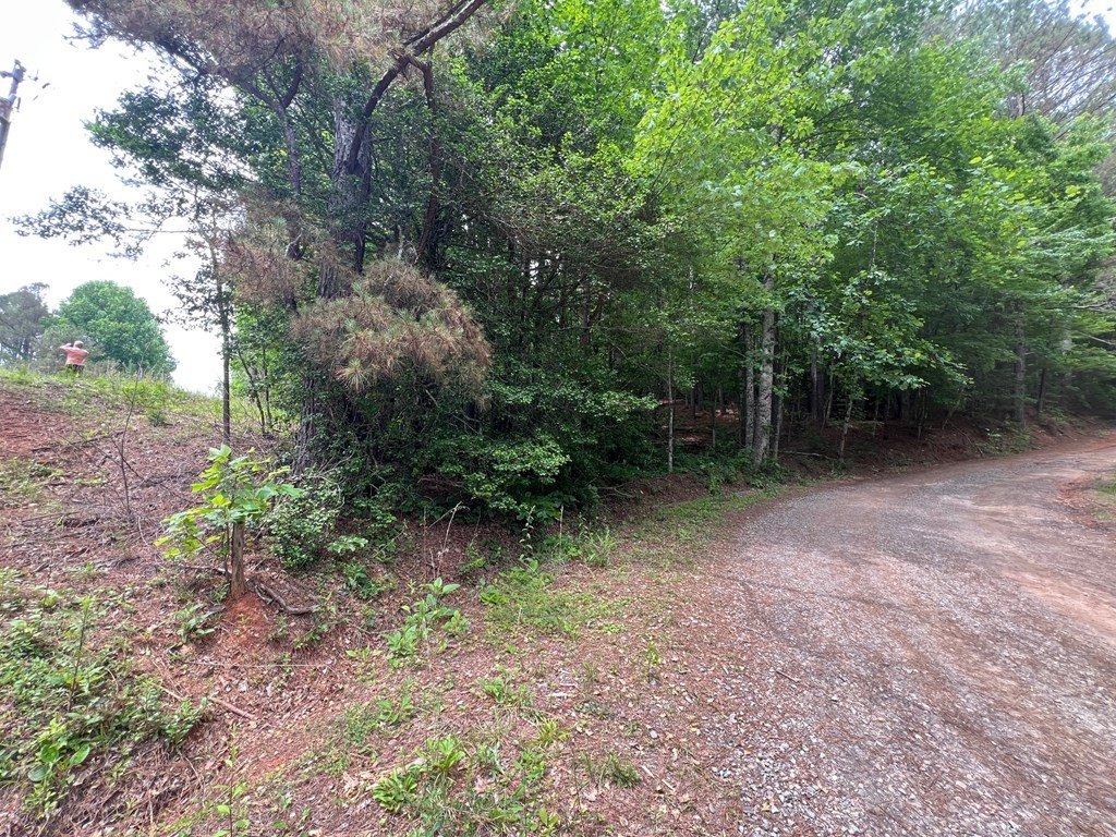 Picture 22