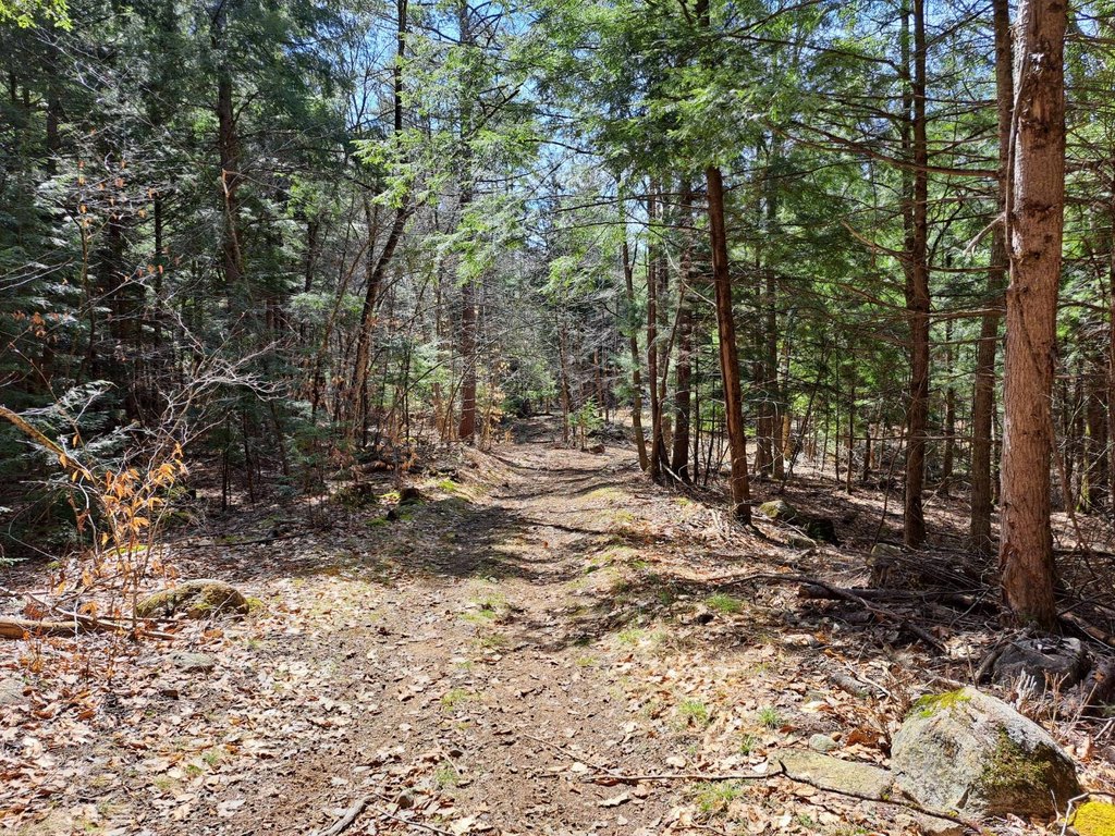 Picture 36