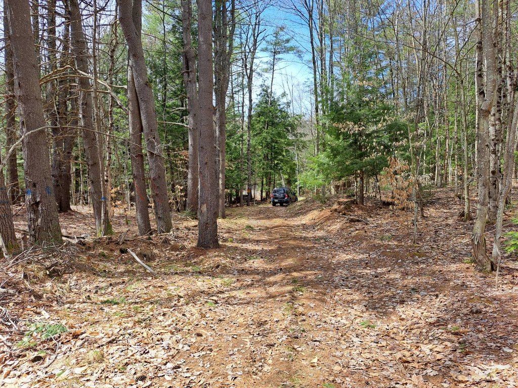 Picture 22