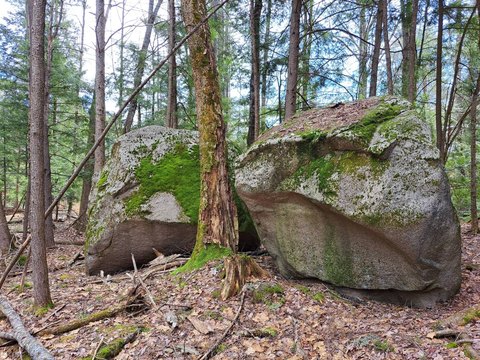 Secluded Wooded Recreation Land