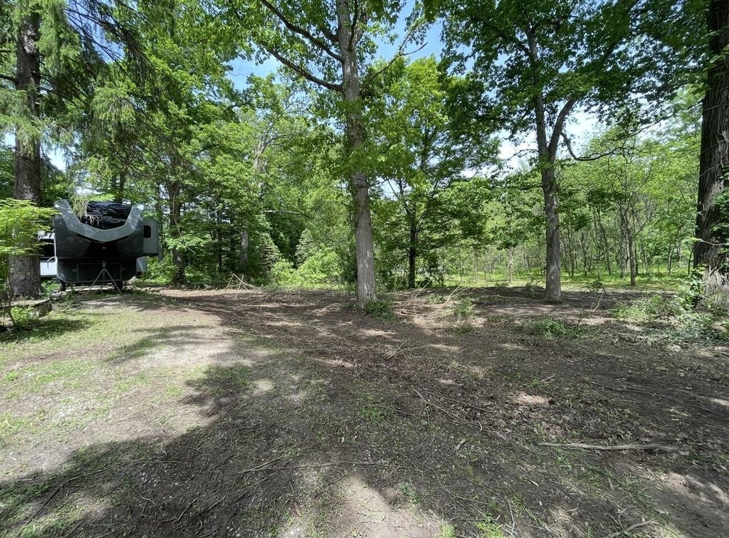 Picture 19