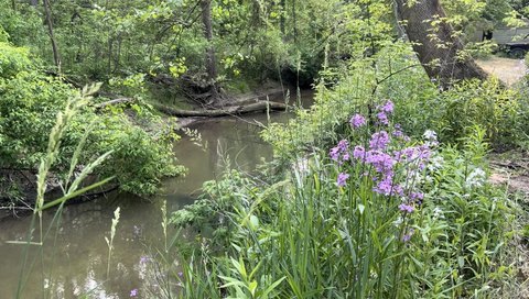 Harbor Country Creekfront Estate Homesite