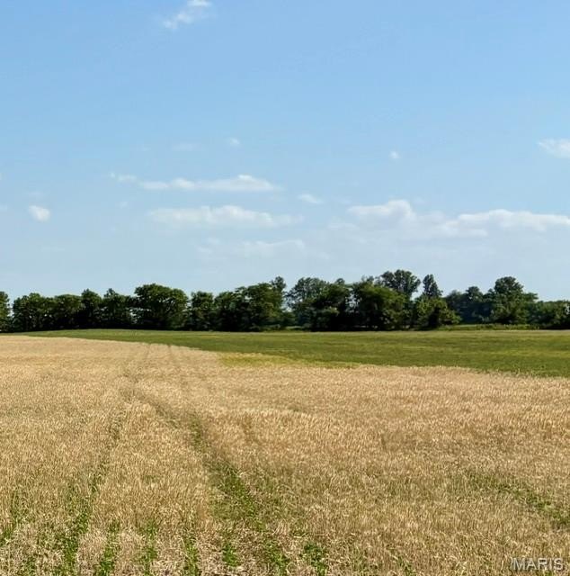 Productive Farmland Investment Opportunity