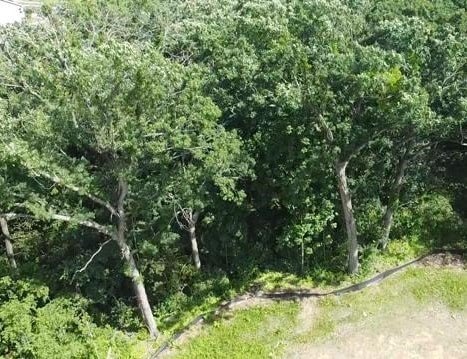 Verona Residential Lot For Sale