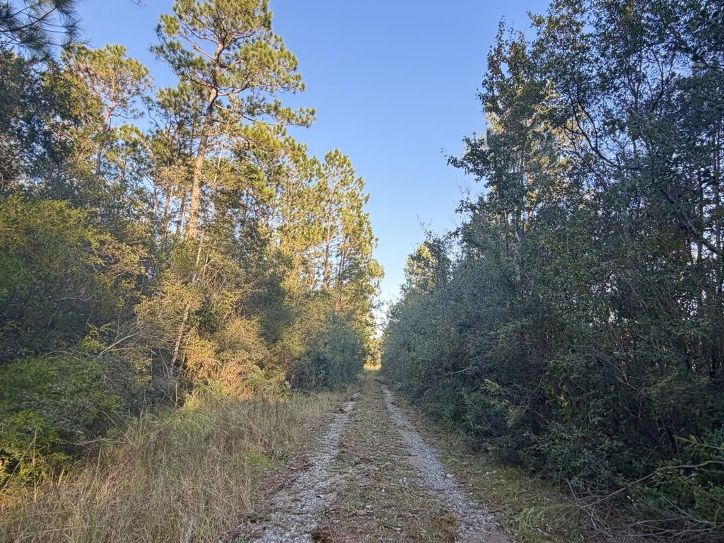 Picture 5