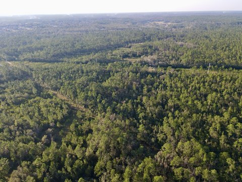 Land, Milton, FL