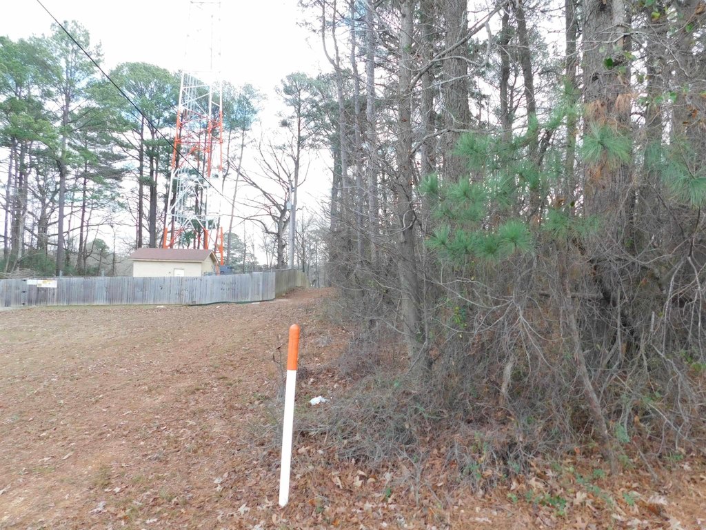 Picture 3