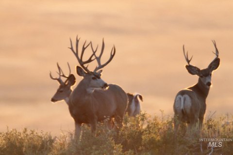 320 Acres of Prime Land