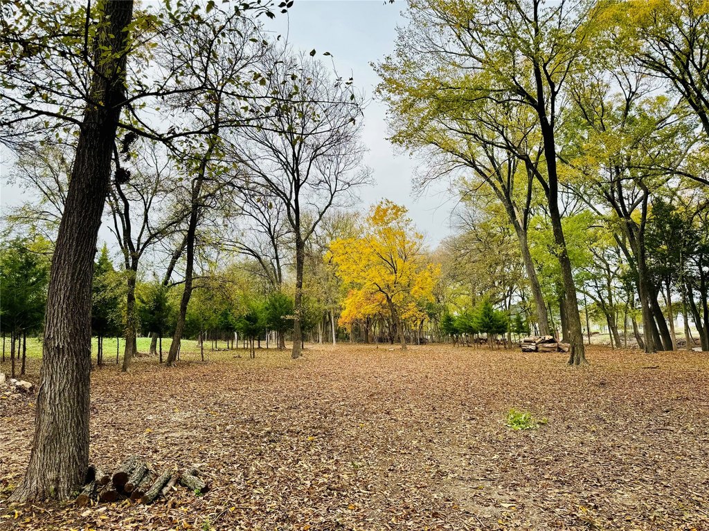 Picture 18