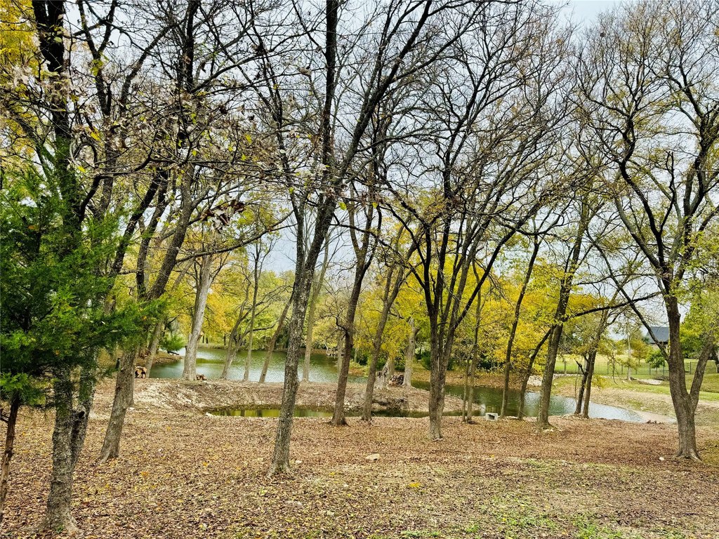 Picture 22