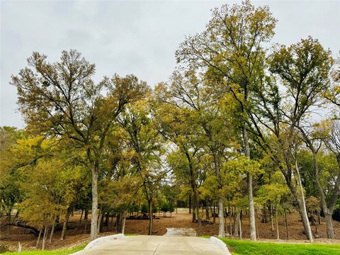 LAND - Midlothian, TX