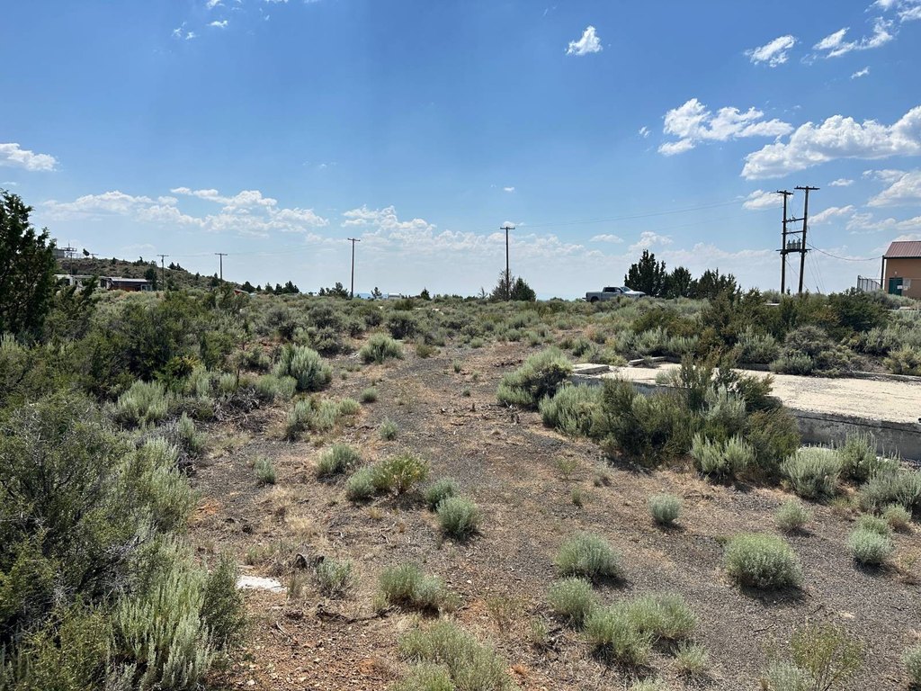 Picture 36