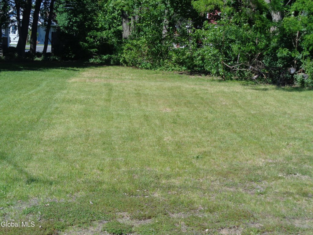 Picture 3