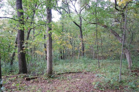 Hunting and Recreation Land
