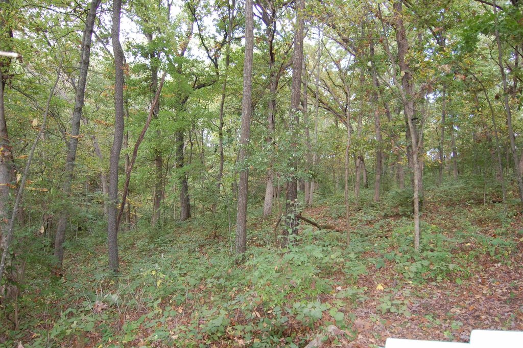 Picture 7