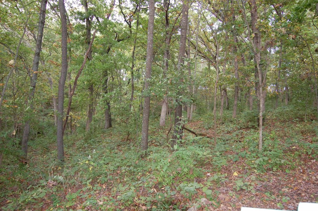 Picture 8